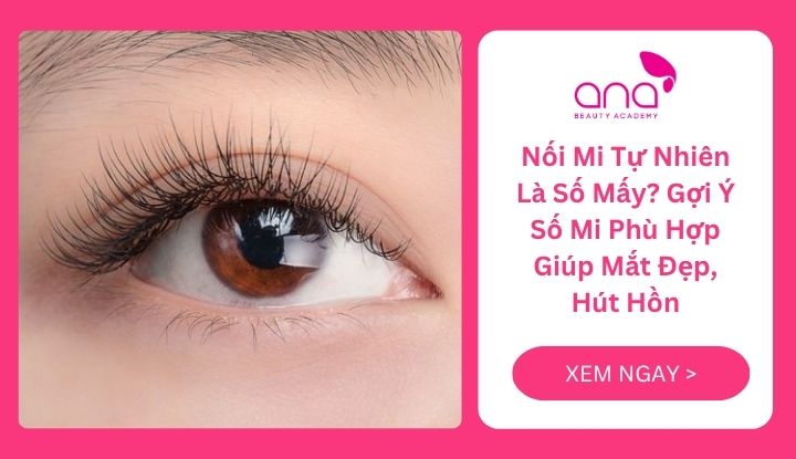 Nối mi tự nhiên là số mấy